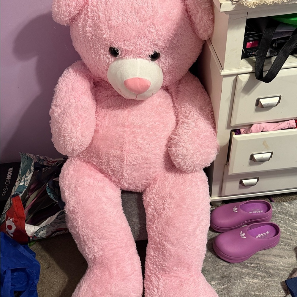 Pink Plush Teddy Bear